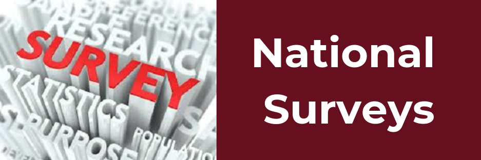 National Survey Portal Page Image